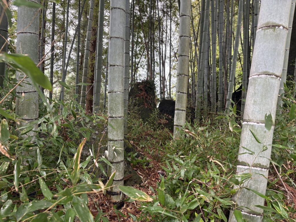 旅　旅行　国内旅行　大分　竹田市　熊本　南小国町　磐座　メンヒル　ドルメン　ストーンサークル　遺跡　神社　寺　満願寺　満願寺温泉　川湯　温泉　露天風呂　柱立神社　鶴原メンヒル　巨石信仰　鳥居龍蔵　考古学　史学　周遊　