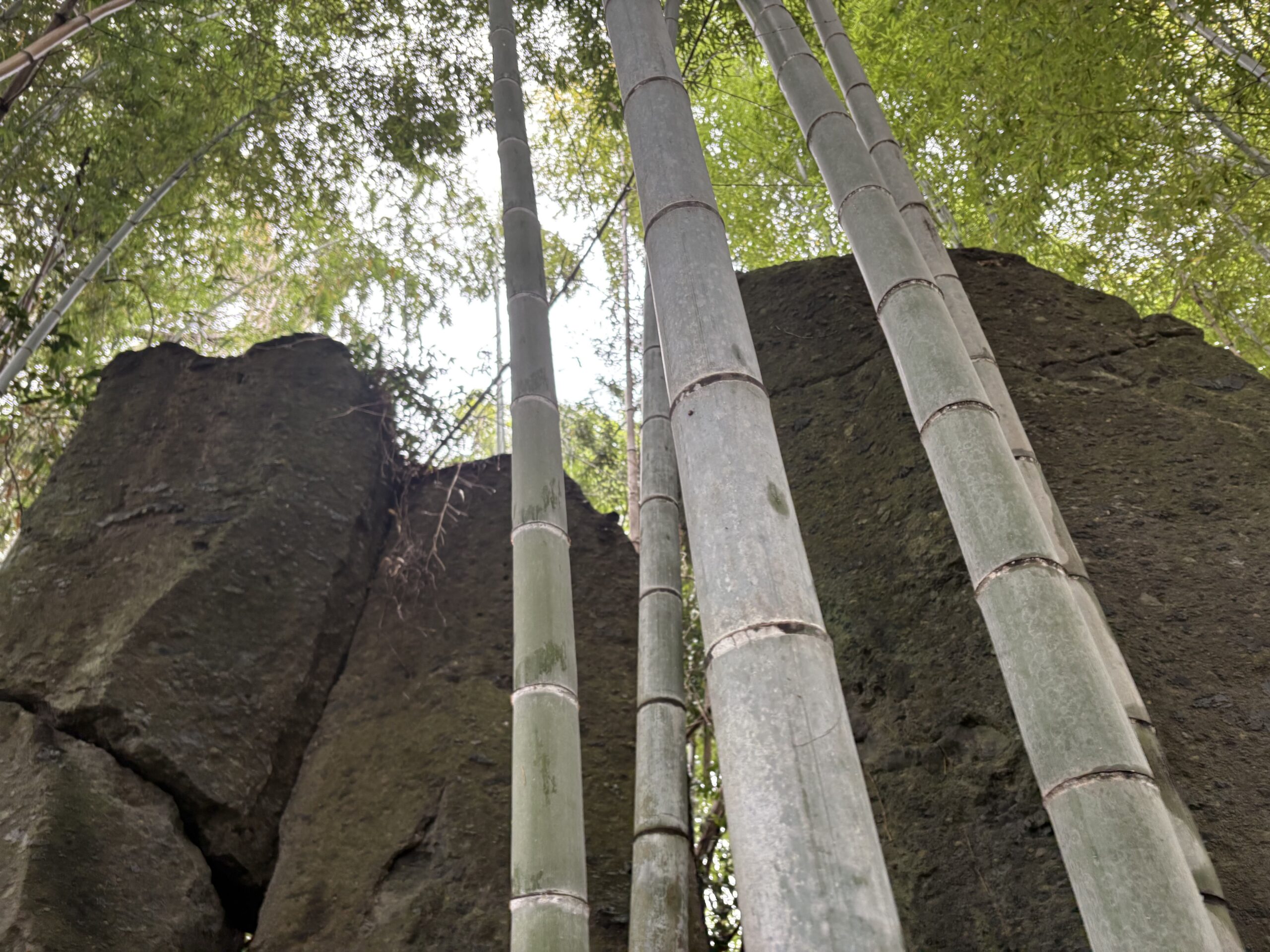 旅　旅行　国内旅行　大分　竹田市　熊本　南小国町　磐座　メンヒル　ドルメン　ストーンサークル　遺跡　神社　寺　満願寺　満願寺温泉　川湯　温泉　露天風呂　柱立神社　鶴原メンヒル　巨石信仰　鳥居龍蔵　考古学　史学　周遊　