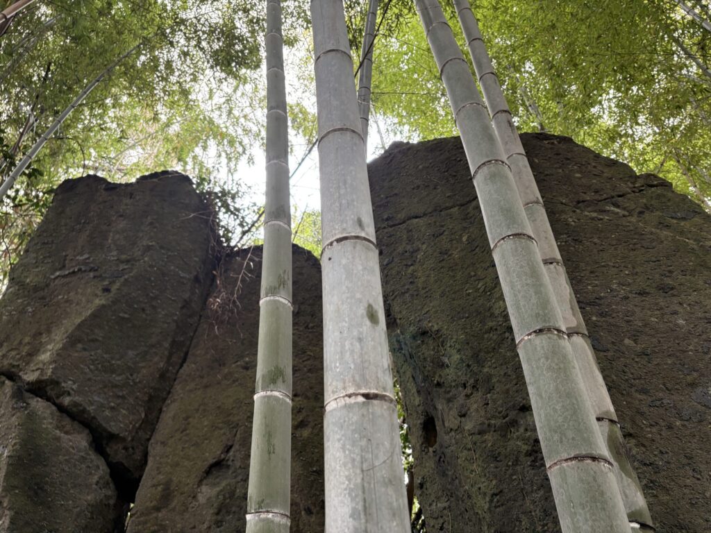 旅　旅行　国内旅行　大分　竹田市　熊本　南小国町　磐座　メンヒル　ドルメン　ストーンサークル　遺跡　神社　寺　満願寺　満願寺温泉　川湯　温泉　露天風呂　柱立神社　鶴原メンヒル　巨石信仰　鳥居龍蔵　考古学　史学　周遊　