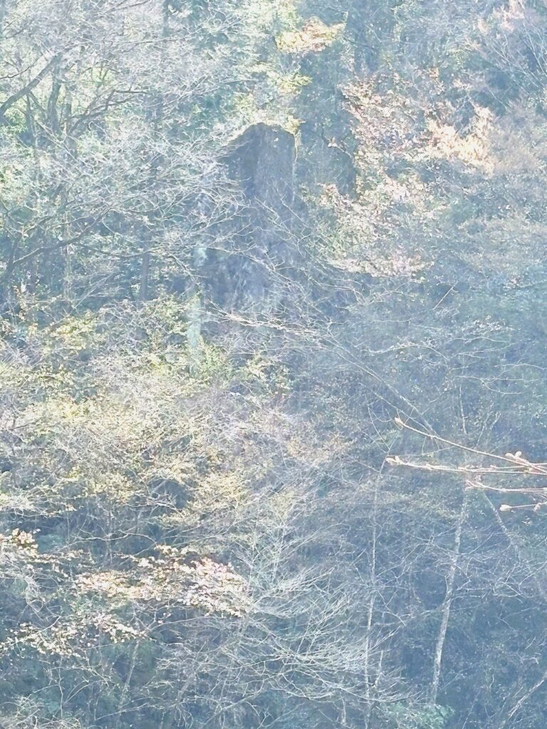 旅　旅行　国内旅行　大分　竹田市　熊本　南小国町　磐座　メンヒル　ドルメン　ストーンサークル　遺跡　神社　寺　満願寺　満願寺温泉　川湯　温泉　露天風呂　柱立神社　鶴原メンヒル　巨石信仰　鳥居龍蔵　考古学　史学　周遊　