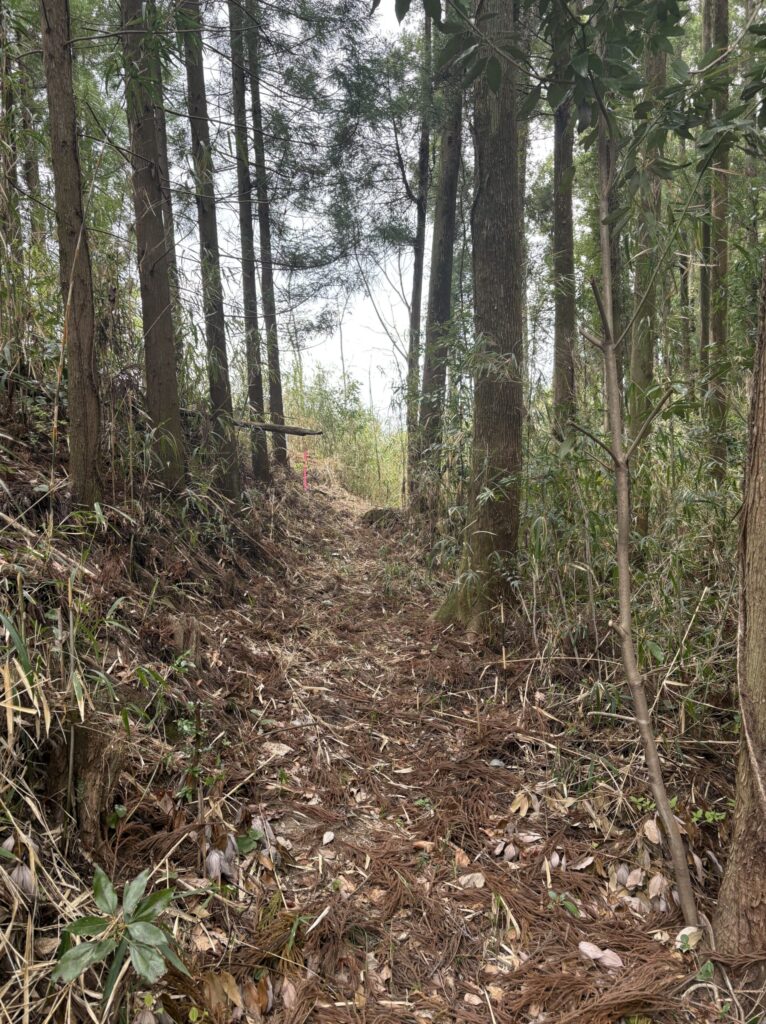 旅　旅行　国内旅行　大分　竹田市　熊本　南小国町　磐座　メンヒル　ドルメン　ストーンサークル　遺跡　神社　寺　満願寺　満願寺温泉　川湯　温泉　露天風呂　柱立神社　鶴原メンヒル　巨石信仰　鳥居龍蔵　考古学　史学　周遊　