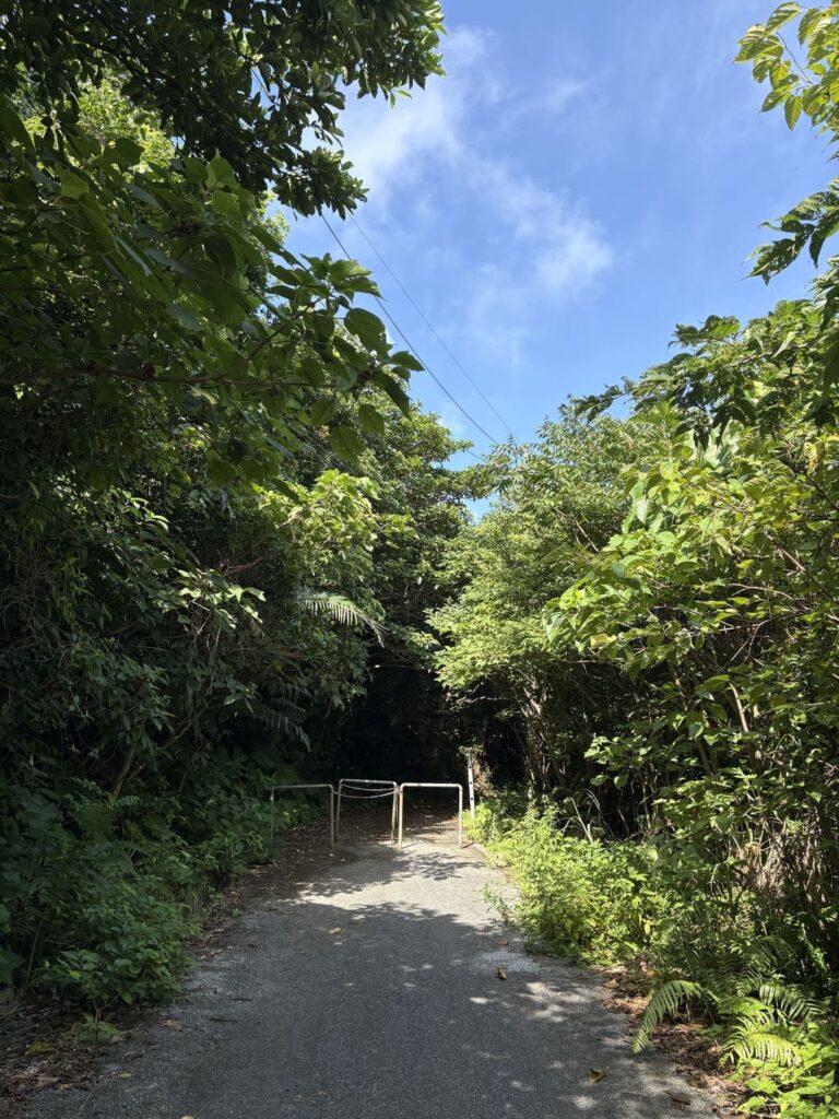 拝所　ストーンサークル　ジャングル　沖縄　八重山　与那国　旅　旅行　久部良岳