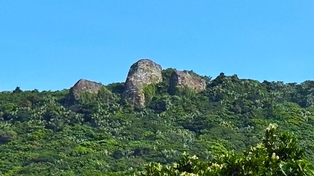 ミミシ　与那国島