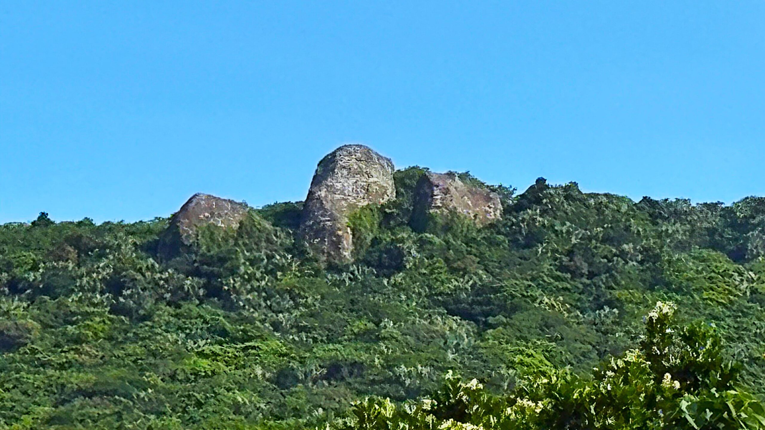 ミミシ　与那国島