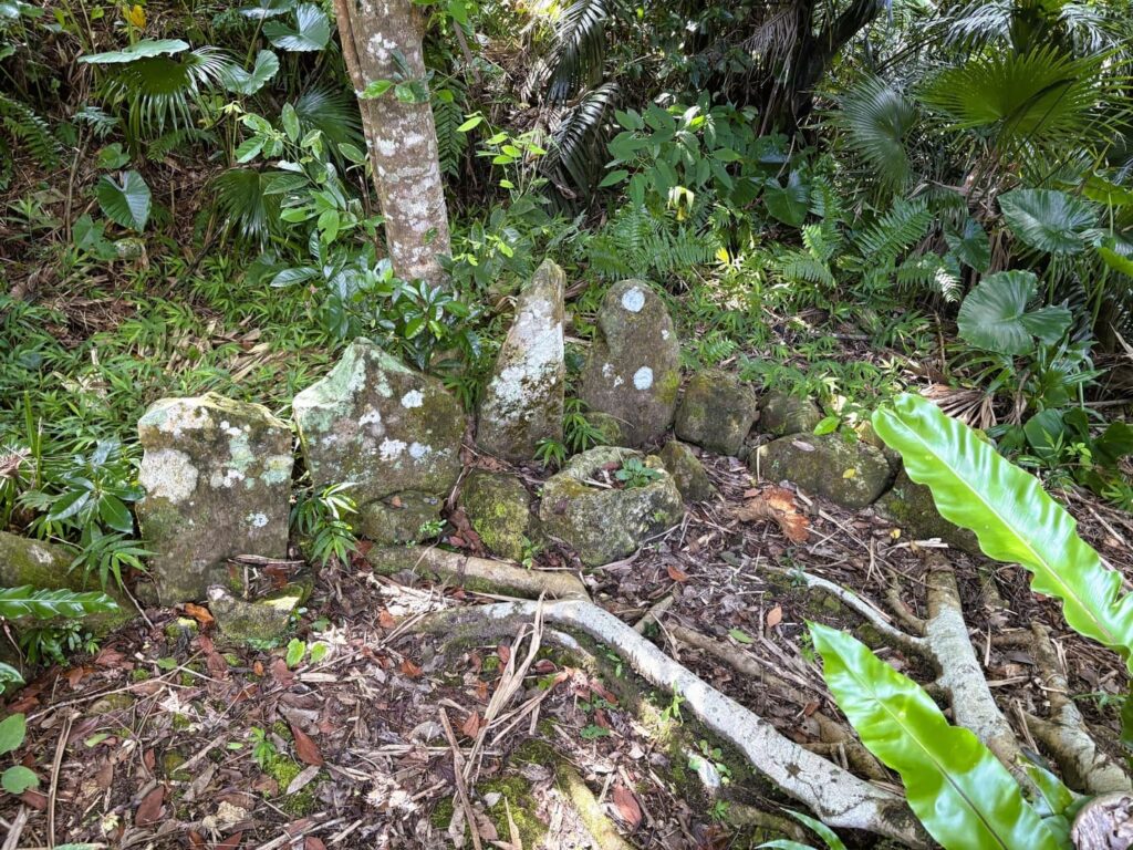 拝所　ストーンサークル　ジャングル　沖縄　八重山　与那国　旅　旅行　久部良岳