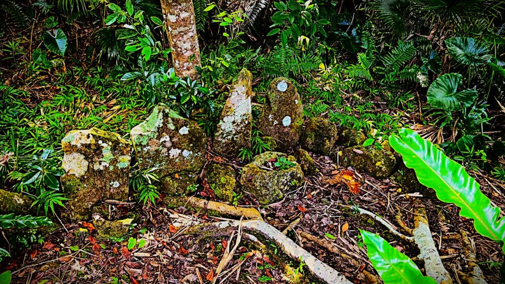 ジャングル　沖縄　八重山　与那国　旅　旅行　久部良岳　拝所　ストーンサークル