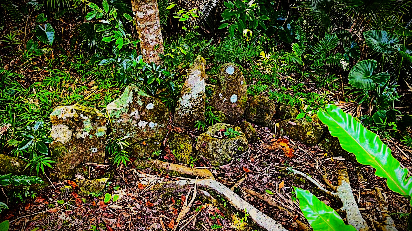 ジャングル　沖縄　八重山　与那国　旅　旅行　久部良岳　拝所　ストーンサークル