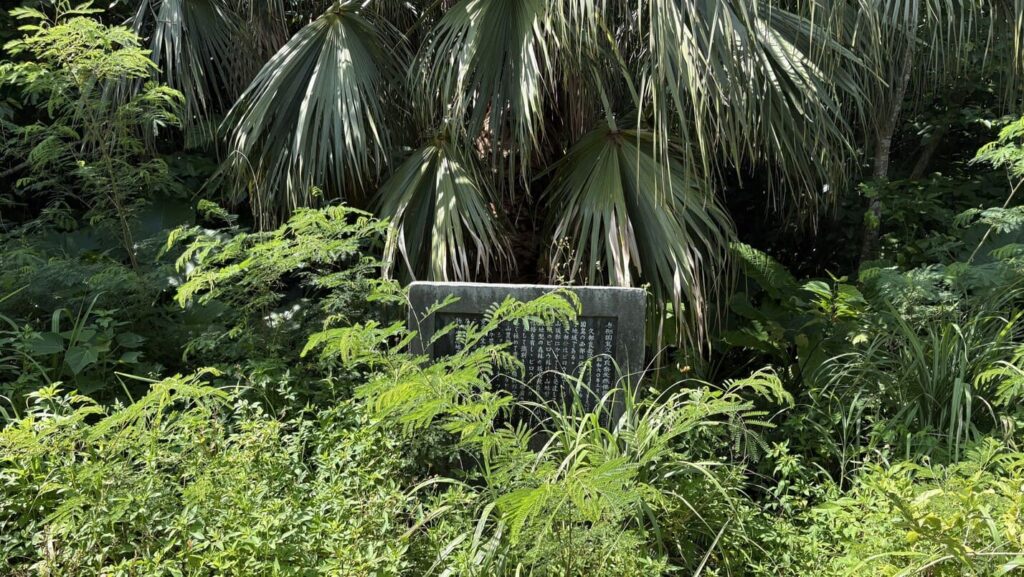 与那国島久部良岳天然保護区域碑　沖縄　八重山　与那国島　ジャングル　沖縄　八重山　与那国　旅　旅行　磐座　