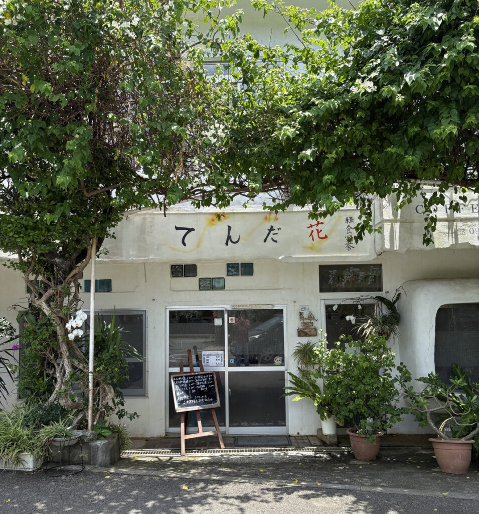 ジャングル　沖縄　八重山　与那国　旅　旅行　祖納　