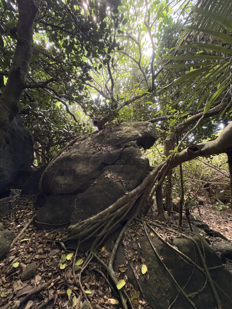 ミミシ,旅、旅行、与那国、与那国島、八重山、沖縄、磐座、岩、拝所、御嶽、知られざる、巨石、文明、巨石文明、失われた、探検、冒険、遺物、遺構、発見、好奇心、山、石造物、顔、蛇、女神、三女神、亀、海神、綿津見、太古、海底遺跡、海、ビーチ、気になる、ハト、鳥、船