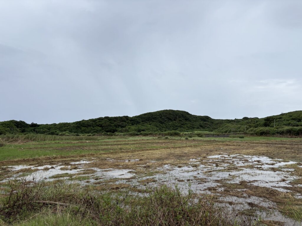 ミミシ,旅、旅行、与那国、与那国島、八重山、沖縄、磐座、岩、拝所、御嶽、知られざる、巨石、文明、巨石文明、失われた、探検、冒険、遺物、遺構、発見、好奇心、山、石造物、顔、蛇、女神、三女神、亀、海神、綿津見、太古、海底遺跡、海、ビーチ、気になる、ハト、鳥、船