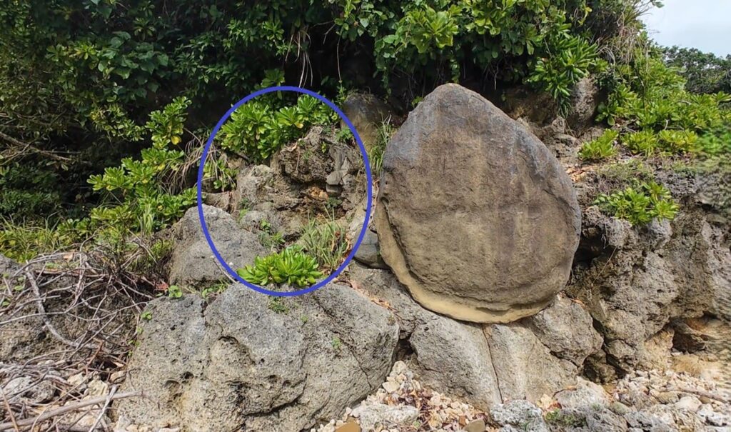 ミミシ,旅、旅行、与那国、与那国島、八重山、沖縄、磐座、岩、拝所、御嶽、知られざる、巨石、文明、巨石文明、失われた、探検、冒険、遺物、遺構、発見、好奇心、山、石造物、顔、蛇、女神、三女神、亀、海神、綿津見、太古、海底遺跡、海、ビーチ、気になる、ハト、鳥、船