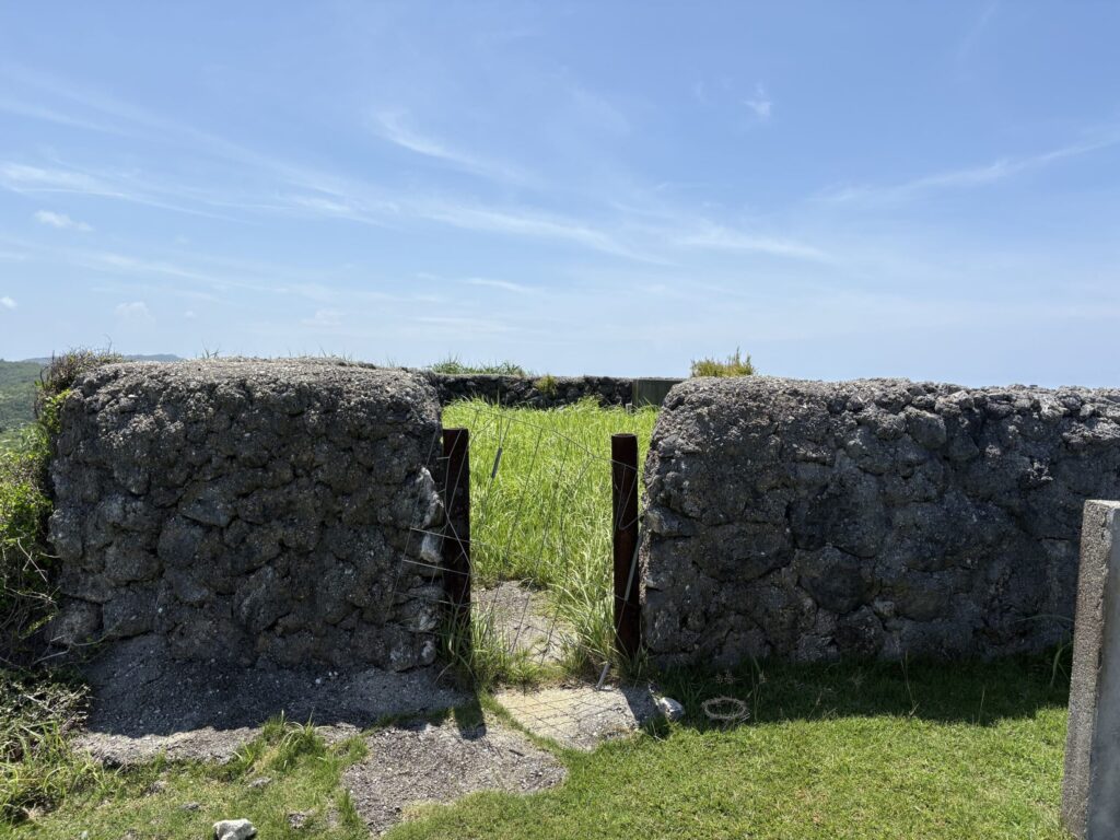 沖縄　八重山　与那国　旅　旅行　祖納　久部良　比川　観光　おすすめ　絶景　ディープ　パワースポット　聖地　御嶽　泡盛　どなん　日本最西端　冒険　探検　放浪　秘境　ビーチ　島　酒造所　ジャングル　クバ　花酒　Drコトー　ティンダバナ　サンニヌ台　立神　サンアイ・イソバ　久部良バリ　東崎　西崎　灯台　与那国馬　固有種　昆虫　生物　国境　台湾　黒潮　自衛隊　基地　カタブル浜　女神　磐座　三女神　岩　　マチリ　トゥニ　ビディリ　ビジュル　砂浜　拝所　崖墓　崖葬墓　ハト　カメ　海底遺跡　古代遺跡　ムー　レムリア　神殿　ストーンサークル　