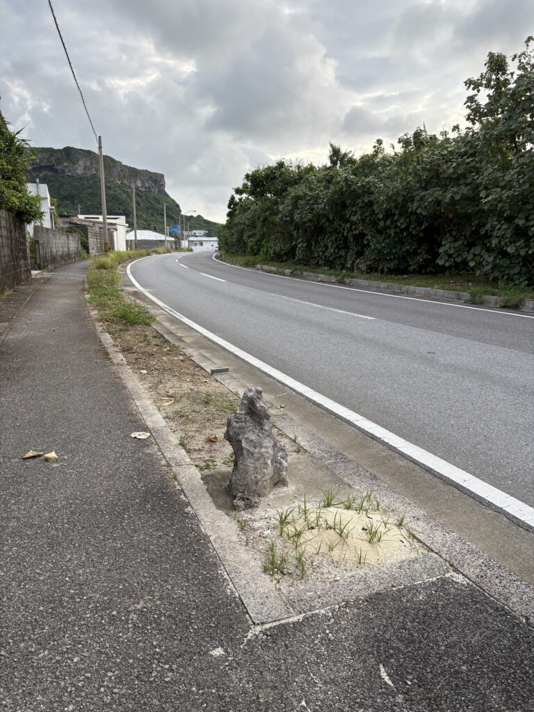 ジャングル　沖縄　八重山　与那国　旅　旅行　祖納　ナンタ浜