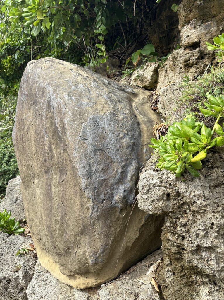 ミミシ,旅、旅行、与那国、与那国島、八重山、沖縄、磐座、岩、拝所、御嶽、知られざる、巨石、文明、巨石文明、失われた、探検、冒険、遺物、遺構、発見、好奇心、山、石造物、顔、蛇、女神、三女神、亀、海神、綿津見、太古、海底遺跡、海、ビーチ、気になる、ハト、鳥、船