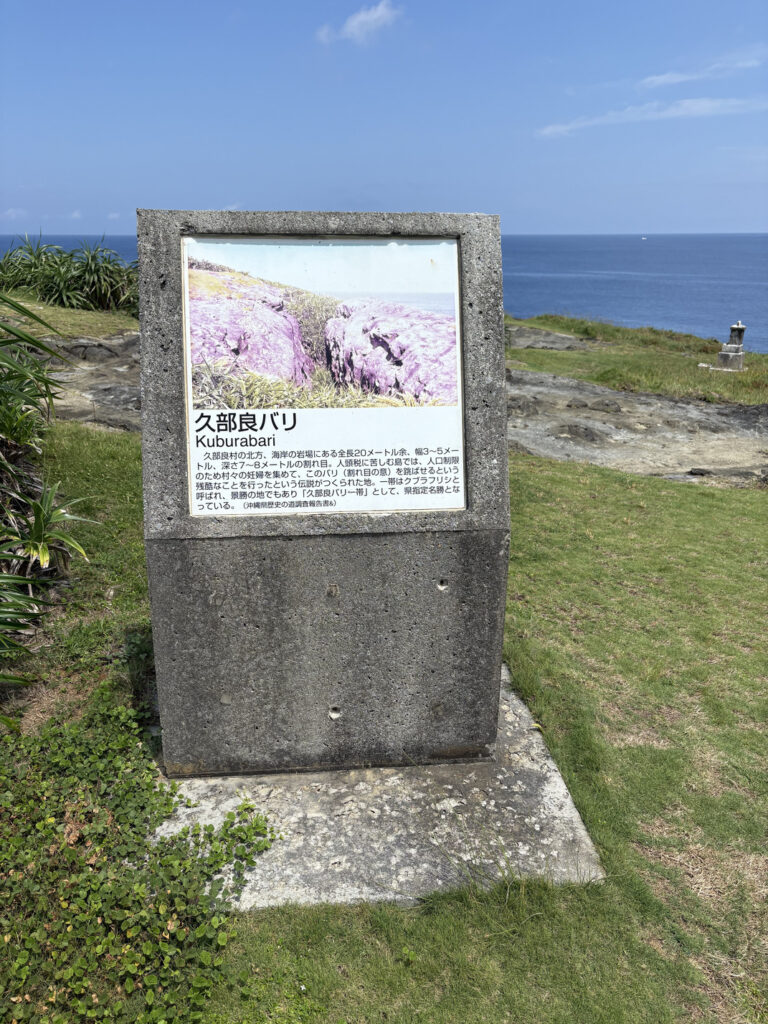 ジャングル　沖縄　八重山　与那国　旅　旅行　祖納　ナンタ浜