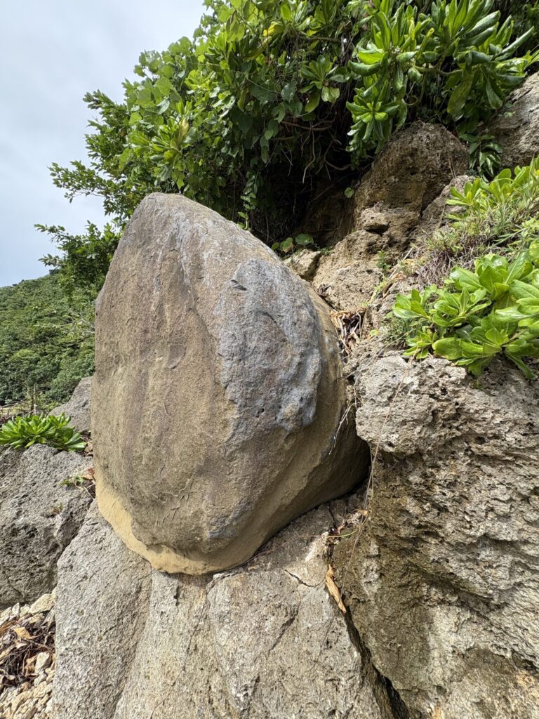 ミミシ,旅、旅行、与那国、与那国島、八重山、沖縄、磐座、岩、拝所、御嶽、知られざる、巨石、文明、巨石文明、失われた、探検、冒険、遺物、遺構、発見、好奇心、山、石造物、顔、蛇、女神、三女神、亀、海神、綿津見、太古、海底遺跡、海、ビーチ、気になる、ハト、鳥、船