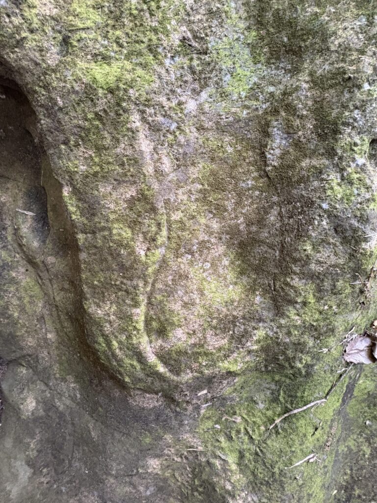 ミミシ,旅、旅行、与那国、与那国島、八重山、沖縄、磐座、岩、拝所、御嶽、知られざる、巨石、文明、巨石文明、失われた、探検、冒険、遺物、遺構、発見、好奇心、山、石造物、顔、蛇、女神、三女神、亀、海神、綿津見、太古、海底遺跡、海、ビーチ、気になる、ハト、鳥、船