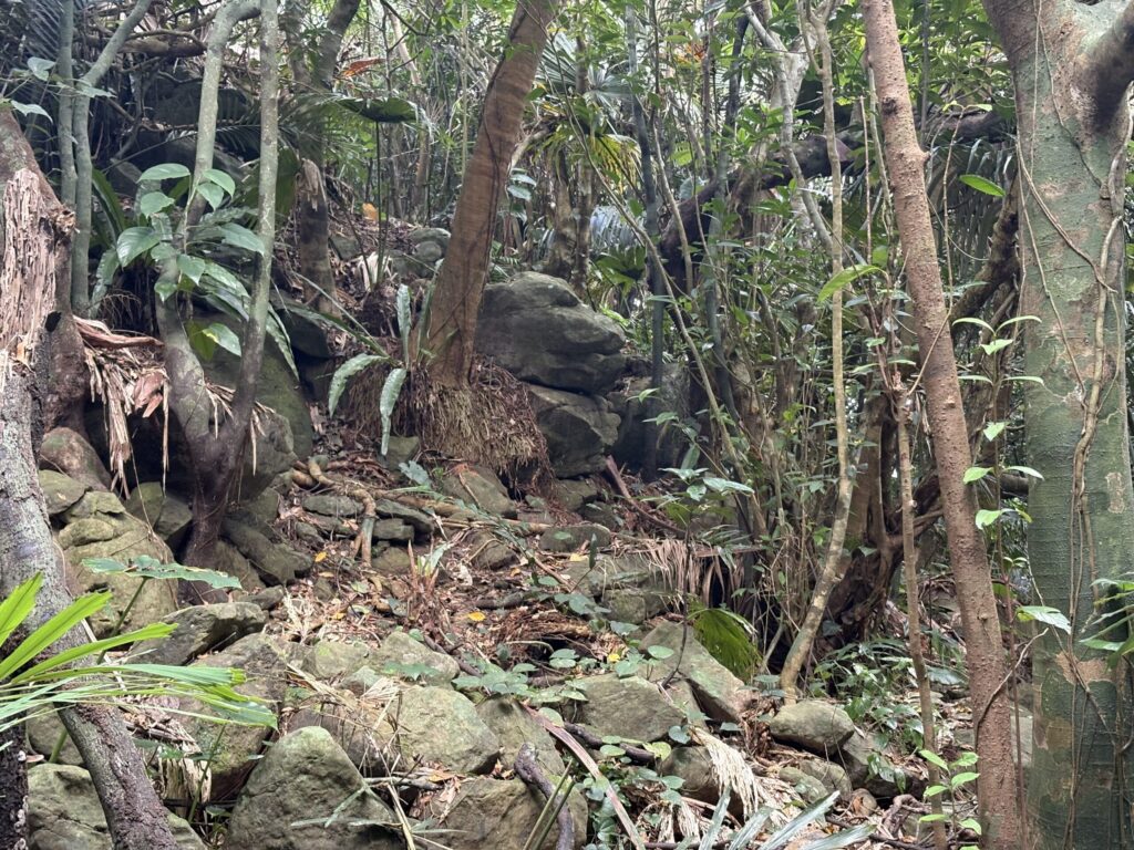 旅、旅行、与那国、与那国島、八重山、沖縄、磐座、岩、拝所、御嶽、知られざる、巨石、文明、巨石文明、失われた、探検、冒険、遺物、遺構、発見、好奇心、山、石造物、顔、蛇、女神、三女神、亀、海神、綿津見、太古、海底遺跡、海、ビーチ、気になる、ハト、鳥、船、パパイヤ