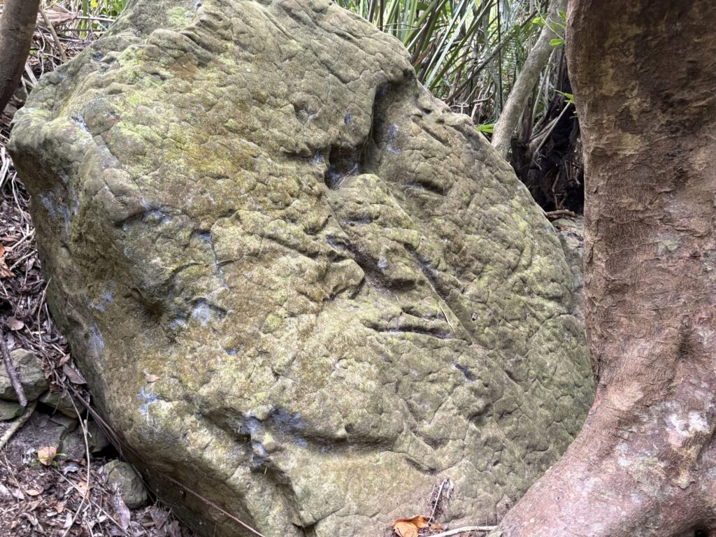 旅、旅行、与那国、与那国島、八重山、沖縄、磐座、岩、拝所、、ハト、鳥、船、パパイヤ御嶽、知られざる、巨石、文明、巨石文明、失われた、探検、冒険、遺物、遺構、発見、好奇心、山、石造物、顔、蛇、女神、三女神、亀、海神、綿津見、太古、海底遺跡、海、ビーチ、気になる