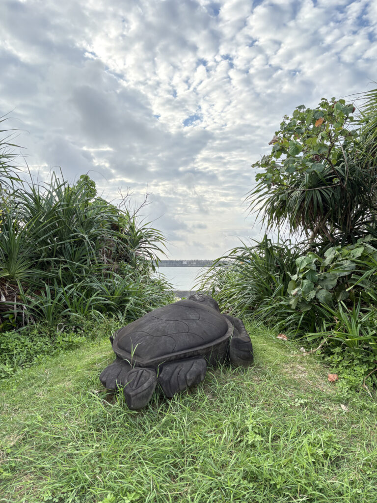 ジャングル　沖縄　八重山　与那国　旅　旅行　祖納　ナンタ浜