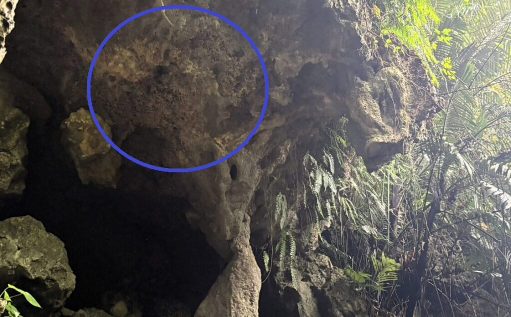 ミミシ,旅、旅行、与那国、与那国島、八重山、沖縄、磐座、岩、拝所、御嶽、知られざる、巨石、文明、巨石文明、失われた、探検、冒険、遺物、遺構、発見、好奇心、山、石造物、顔、蛇、女神、三女神、亀、海神、綿津見、太古、海底遺跡、海、ビーチ、気になる、ハト、鳥、船