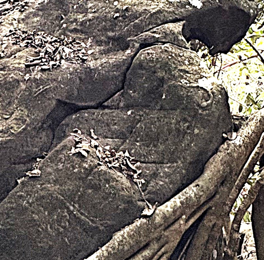 ミミシ,旅、旅行、与那国、与那国島、八重山、沖縄、磐座、岩、拝所、御嶽、知られざる、巨石、文明、巨石文明、失われた、探検、冒険、遺物、遺構、発見、好奇心、山、石造物、顔、蛇、女神、三女神、亀、海神、綿津見、太古、海底遺跡、海、ビーチ、気になる、ハト、鳥、船