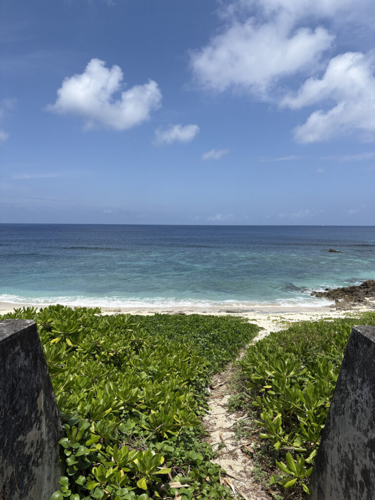 ジャングル　沖縄　八重山　与那国　旅　旅行　祖納　久部良