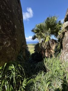 ミミシ,旅、旅行、与那国、与那国島、八重山、沖縄、磐座、岩、拝所、御嶽、知られざる、巨石、文明、巨石文明、失われた、探検、冒険、遺物、遺構、発見、好奇心、山、石造物、顔、蛇、女神、三女神、亀、海神、綿津見、太古、海底遺跡、海、ビーチ、気になる、ハト、鳥、船