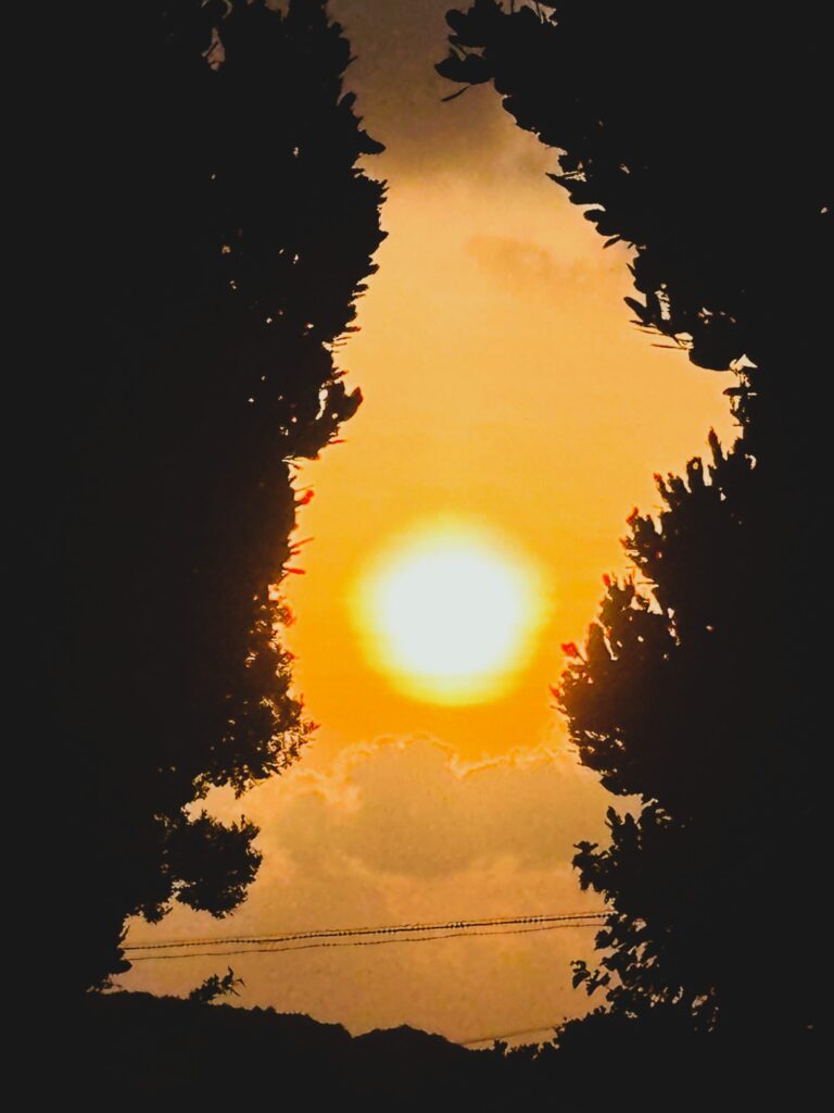 沖縄　八重山　与那国　旅　旅行　祖納　久部良　比川　観光　おすすめ　絶景　ディープ　パワースポット　聖地　御嶽　泡盛　どなん　日本最西端　冒険　探検　放浪　秘境　ビーチ　島　酒造所　ジャングル　クバ　花酒　Drコトー　ティンダバナ　サンニヌ台　立神　サンアイ・イソバ　久部良バリ　東崎　西崎　灯台　与那国馬　固有種　昆虫　生物　国境　台湾　黒潮　自衛隊　基地　カタブル浜　女神　磐座　三女神　岩　　マチリ　トゥニ　ビディリ　ビジュル　砂浜　拝所　崖墓　崖葬墓　ハト　カメ　海底遺跡　古代遺跡　ムー　レムリア　神殿　ストーンサークル　人面石　