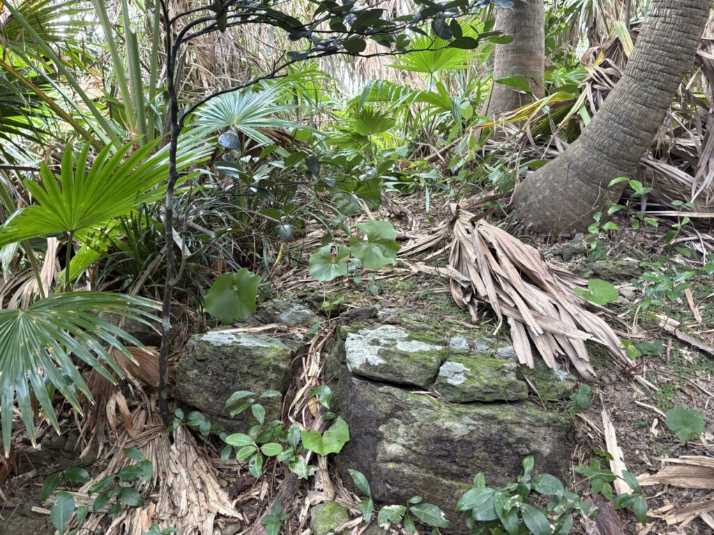 旅、旅行、与那国、与那国島、八重山、沖縄、磐座、岩、拝所、御嶽、知られざる、巨石、文明、巨石文明、失われた、探検、冒険、遺物、遺構、発見、好奇心、山、石造物、顔、蛇、女神、三女神、亀、海神、綿津見、太古、海底遺跡、海、ビーチ、気になる、ハト、鳥、船、パパイヤ