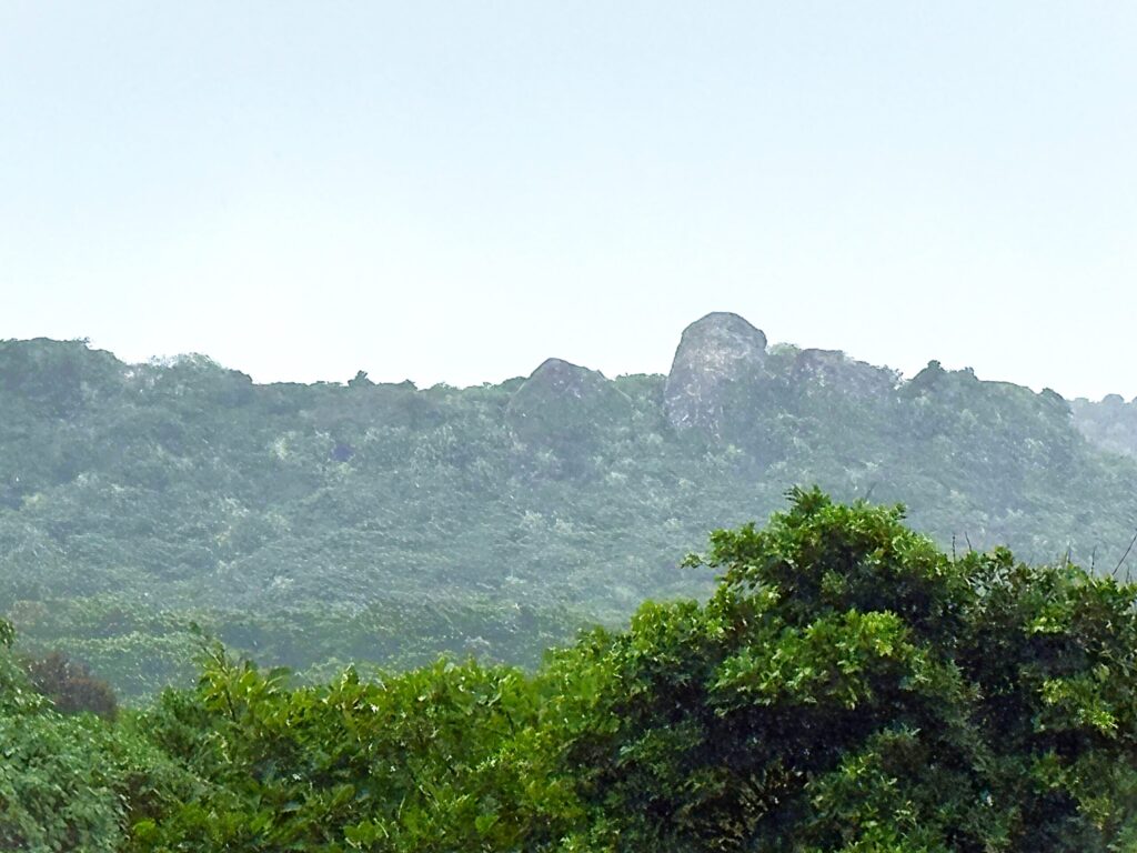 ミミシ,旅、旅行、与那国、与那国島、八重山、沖縄、磐座、岩、拝所、御嶽、知られざる、巨石、文明、巨石文明、失われた、探検、冒険、遺物、遺構、発見、好奇心、山、石造物、顔、蛇、女神、三女神、亀、海神、綿津見、太古、海底遺跡、海、ビーチ、気になる、ハト、鳥、船