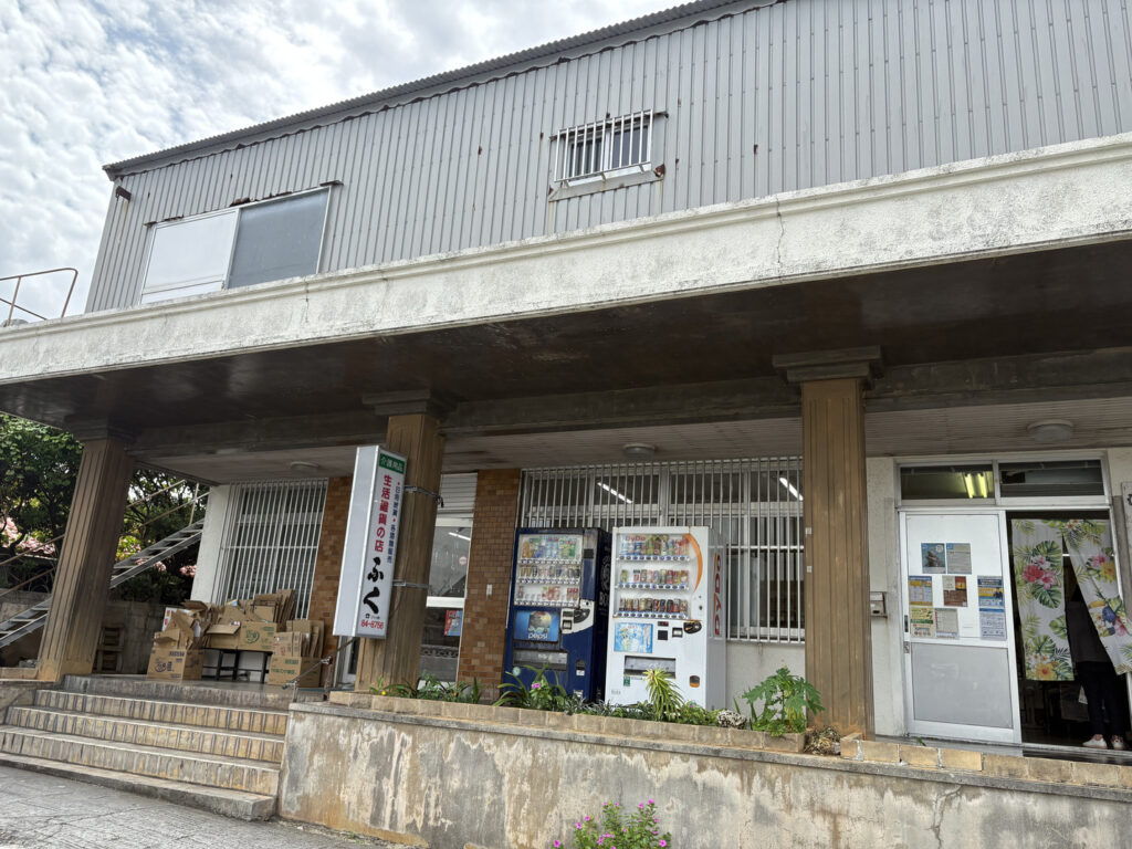 ジャングル　沖縄　八重山　与那国　旅　旅行　祖納　