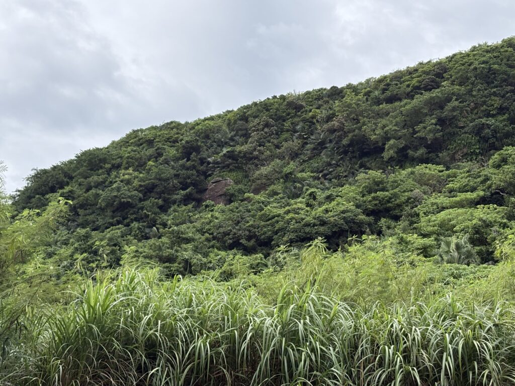 ミミシ,旅、旅行、与那国、与那国島、八重山、沖縄、磐座、岩、拝所、御嶽、知られざる、巨石、文明、巨石文明、失われた、探検、冒険、遺物、遺構、発見、好奇心、山、石造物、顔、蛇、女神、三女神、亀、海神、綿津見、太古、海底遺跡、海、ビーチ、気になる、ハト、鳥、船