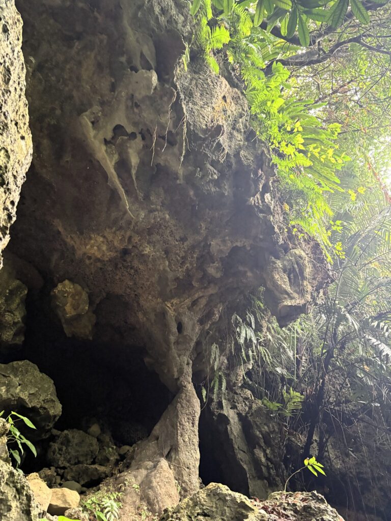 ミミシ,旅、旅行、与那国、与那国島、八重山、沖縄、磐座、岩、拝所、御嶽、知られざる、巨石、文明、巨石文明、失われた、探検、冒険、遺物、遺構、発見、好奇心、山、石造物、顔、蛇、女神、三女神、亀、海神、綿津見、太古、海底遺跡、海、ビーチ、気になる、ハト、鳥、船
