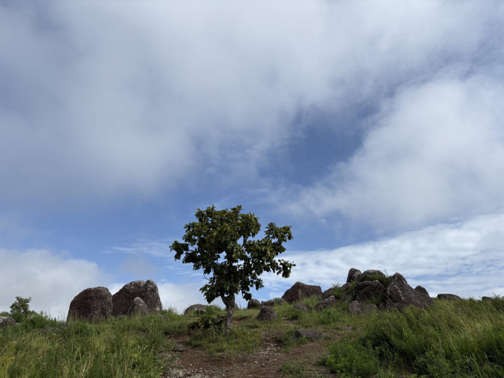 押戸石　熊本　磐座　巨石　遺跡　古代　文明　パワースポット　観光　絶景　気持ち良い　丘陵　磐座　メンヒル　斎つ磐群　湯津石村　五百箇磐村