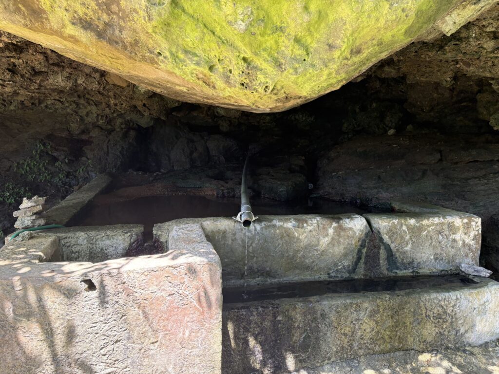 沖縄　八重山　与那国　旅　旅行　祖納　久部良　比川　観光　おすすめ　絶景　ディープ　パワースポット　聖地　御嶽　泡盛　どなん　日本最西端　冒険　探検　放浪　秘境　ビーチ　島　酒造所　ジャングル　クバ　花酒　Drコトー　ティンダバナ　サンニヌ台　立神　サンアイ・イソバ　久部良バリ　東崎　西崎　灯台　与那国馬　固有種　昆虫　生物　国境　台湾　黒潮　自衛隊　基地　カタブル浜　女神　磐座　三女神　岩　　マチリ　トゥニ　ビディリ　ビジュル　砂浜　拝所　崖墓　崖葬墓　ハト　カメ　海底遺跡　古代遺跡　ムー　レムリア　神殿　ストーンサークル　人面石　