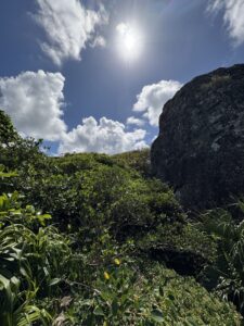 ミミシ,旅、旅行、与那国、与那国島、八重山、沖縄、磐座、岩、拝所、御嶽、知られざる、巨石、文明、巨石文明、失われた、探検、冒険、遺物、遺構、発見、好奇心、山、石造物、顔、蛇、女神、三女神、亀、海神、綿津見、太古、海底遺跡、海、ビーチ、気になる、ハト、鳥、船