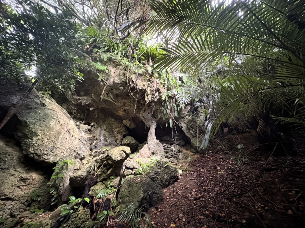 ミミシ,旅、旅行、与那国、与那国島、八重山、沖縄、磐座、岩、拝所、御嶽、知られざる、巨石、文明、巨石文明、失われた、探検、冒険、遺物、遺構、発見、好奇心、山、石造物、顔、蛇、女神、三女神、亀、海神、綿津見、太古、海底遺跡、海、ビーチ、気になる、ハト、鳥、船