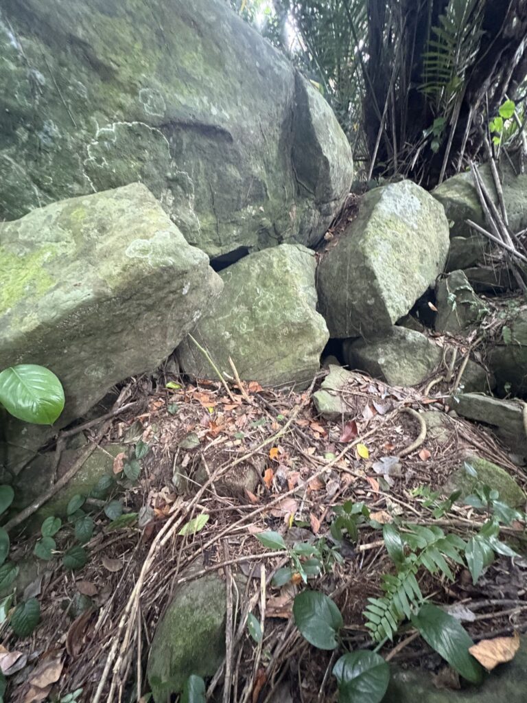 旅、旅行、与那国、与那国島、八重山、沖縄、磐座、岩、拝所、御嶽、知られざる、巨石、文明、巨石文明、失われた、探検、冒険、遺物、遺構、発見、好奇心、山、石造物、顔、蛇、女神、三女神、亀、海神、綿津見、太古、海底遺跡、海、ビーチ、気になる、ハト、鳥、船