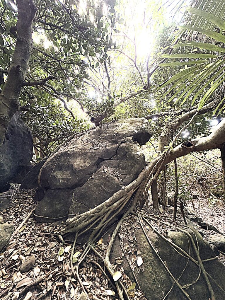 ミミシ,旅、旅行、与那国、与那国島、八重山、沖縄、磐座、岩、拝所、御嶽、知られざる、巨石、文明、巨石文明、失われた、探検、冒険、遺物、遺構、発見、好奇心、山、石造物、顔、蛇、女神、三女神、亀、海神、綿津見、太古、海底遺跡、海、ビーチ、気になる、ハト、鳥、船