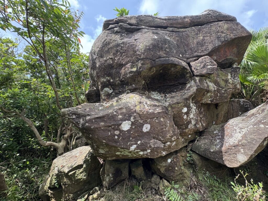 沖縄　八重山　与那国　旅　旅行　祖納　久部良　比川　観光　おすすめ　絶景　ディープ　パワースポット　聖地　御嶽　泡盛　どなん　日本最西端　冒険　探検　放浪　秘境　ビーチ　島　酒造所　ジャングル　クバ　花酒　Drコトー　ティンダバナ　サンニヌ台　立神　サンアイ・イソバ　久部良バリ　東崎　西崎　灯台　与那国馬　固有種　昆虫　生物　国境　台湾　黒潮　自衛隊　基地　カタブル浜　女神　磐座　三女神　岩　　マチリ　トゥニ　ビディリ　ビジュル　砂浜　拝所　崖墓　崖葬墓　ハト　カメ　海底遺跡　古代遺跡　ムー　レムリア　神殿　ストーンサークル　