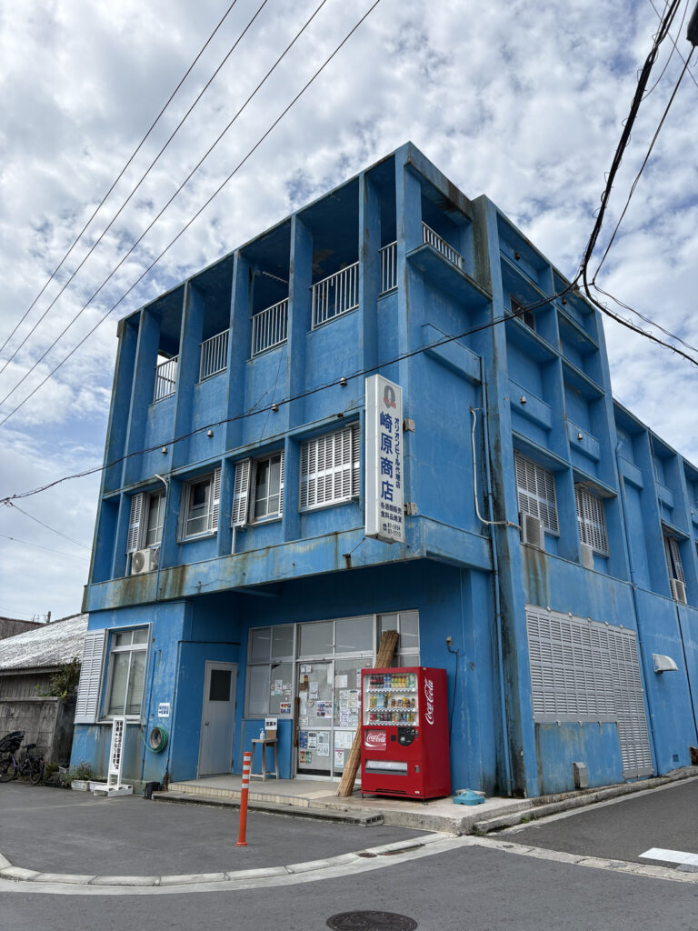 ジャングル　沖縄　八重山　与那国　旅　旅行　祖納