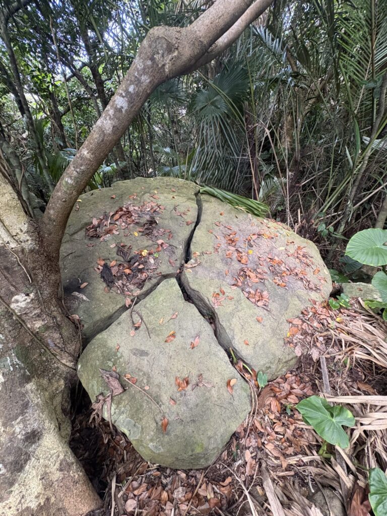 旅、旅行、与那国、与那国島、八重山、沖縄、磐座、岩、拝所、御嶽、知られざる、巨石、文明、巨石文明、失われた、探検、冒険、遺物、遺構、発見、好奇心、山、石造物、顔、蛇、女神、三女神、亀、海神、綿津見、太古、海底遺跡、海、ビーチ、気になる、ハト、鳥、船