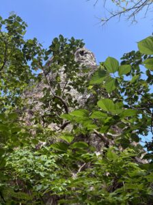 ミミシ,旅、旅行、与那国、与那国島、八重山、沖縄、磐座、岩、拝所、御嶽、知られざる、巨石、文明、巨石文明、失われた、探検、冒険、遺物、遺構、発見、好奇心、山、石造物、顔、蛇、女神、三女神、亀、海神、綿津見、太古、海底遺跡、海、ビーチ、気になる、ハト、鳥、船