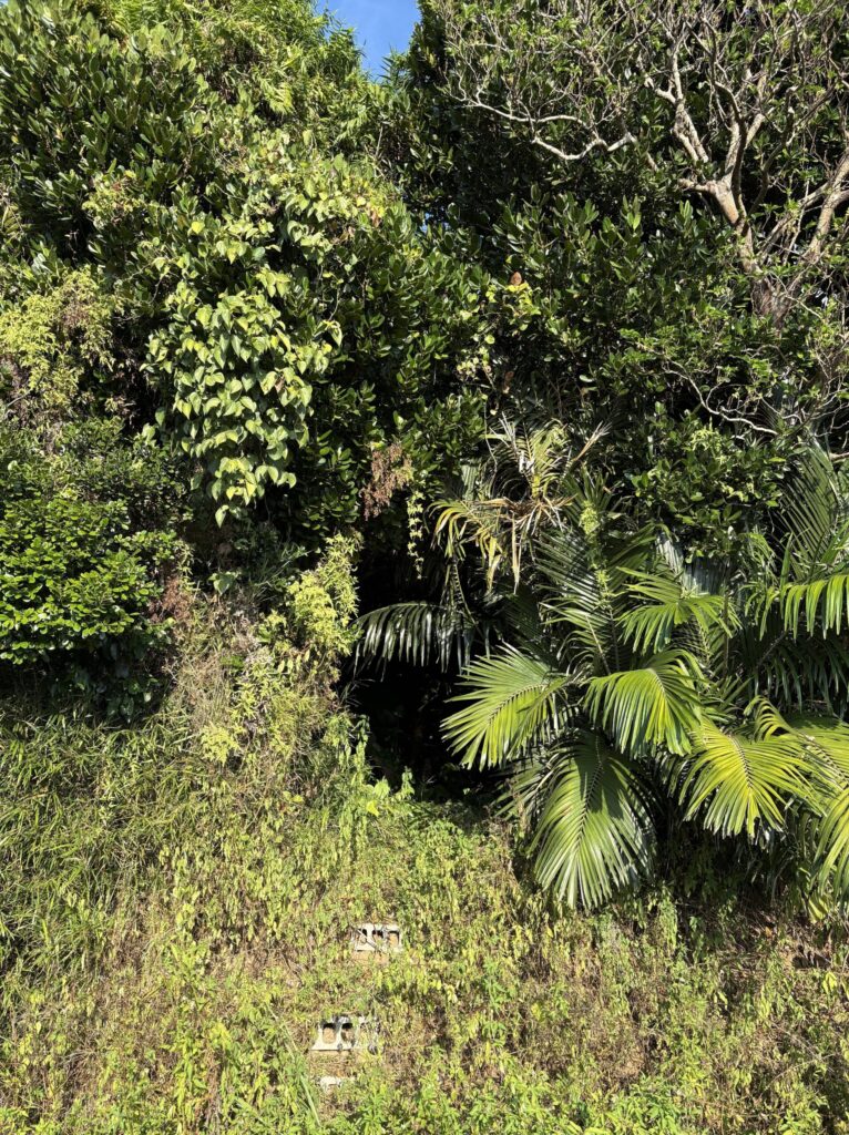 旅、旅行、与那国、与那国島、八重山、沖縄、磐座、海、4畳半ビーチ