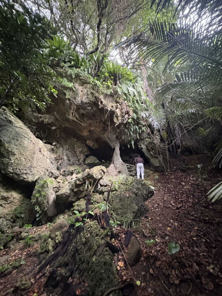 ミミシ,旅、旅行、与那国、与那国島、八重山、沖縄、磐座、岩、拝所、御嶽、知られざる、巨石、文明、巨石文明、失われた、探検、冒険、遺物、遺構、発見、好奇心、山、石造物、顔、蛇、女神、三女神、亀、海神、綿津見、太古、海底遺跡、海、ビーチ、気になる、ハト、鳥、船