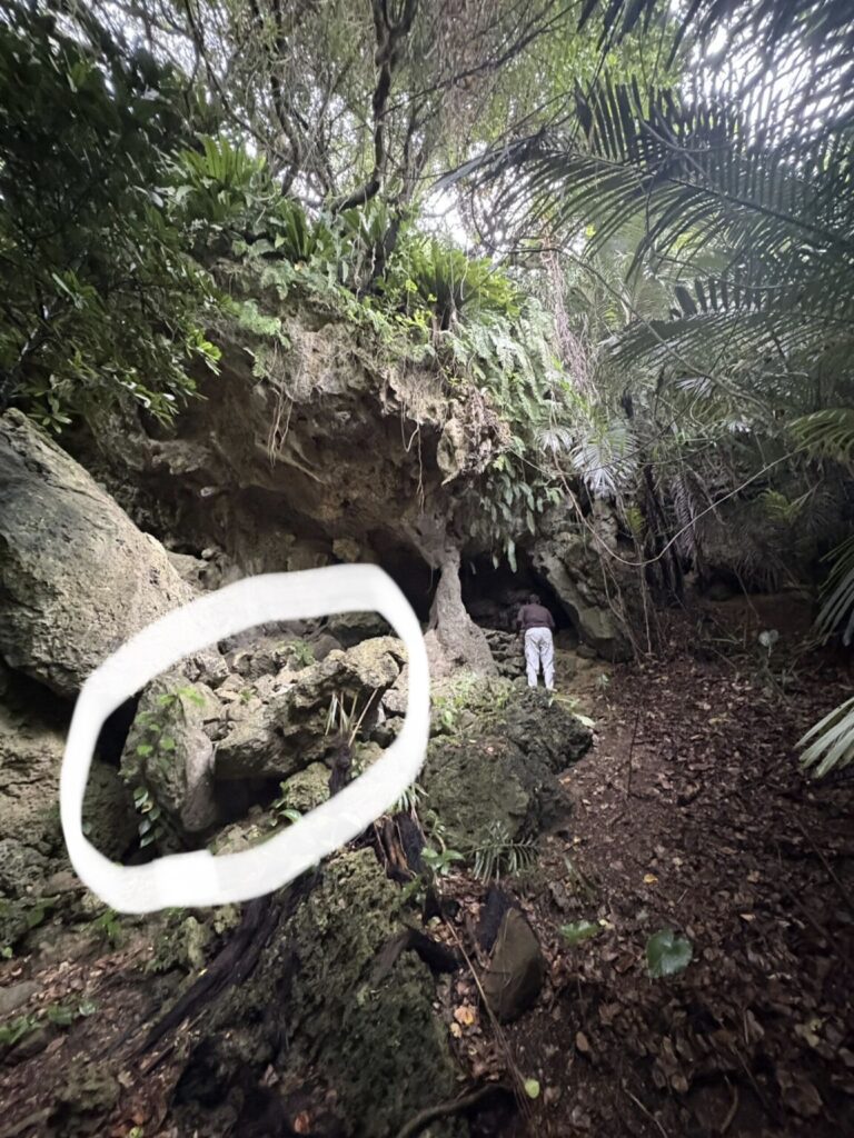 ミミシ,旅、旅行、与那国、与那国島、八重山、沖縄、磐座、岩、拝所、御嶽、知られざる、巨石、文明、巨石文明、失われた、探検、冒険、遺物、遺構、発見、好奇心、山、石造物、顔、蛇、女神、三女神、亀、海神、綿津見、太古、海底遺跡、海、ビーチ、気になる、ハト、鳥、船