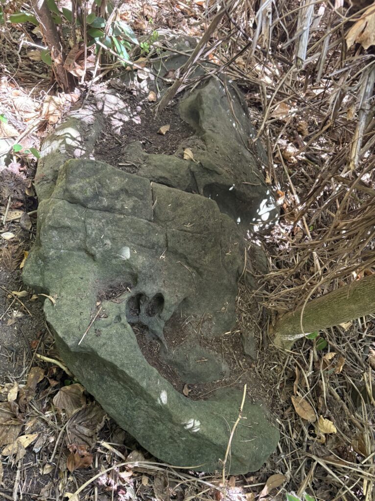 ミミシ,旅、旅行、与那国、与那国島、八重山、沖縄、磐座、岩、拝所、御嶽、知られざる、巨石、文明、巨石文明、失われた、探検、冒険、遺物、遺構、発見、好奇心、山、石造物、顔、蛇、女神、三女神、亀、海神、綿津見、太古、海底遺跡、海、ビーチ、気になる、ハト、鳥、船