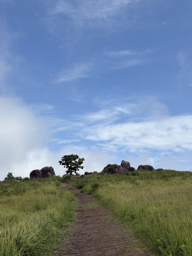押戸石　熊本　磐座　巨石　遺跡　古代　文明　パワースポット　観光　絶景　気持ち良い　丘陵　磐座　メンヒル　斎つ磐群　湯津石村　五百箇磐村